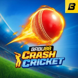 Crash Cricket Game